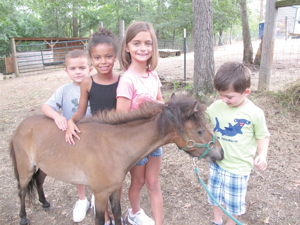 Zack the mini 1 copy