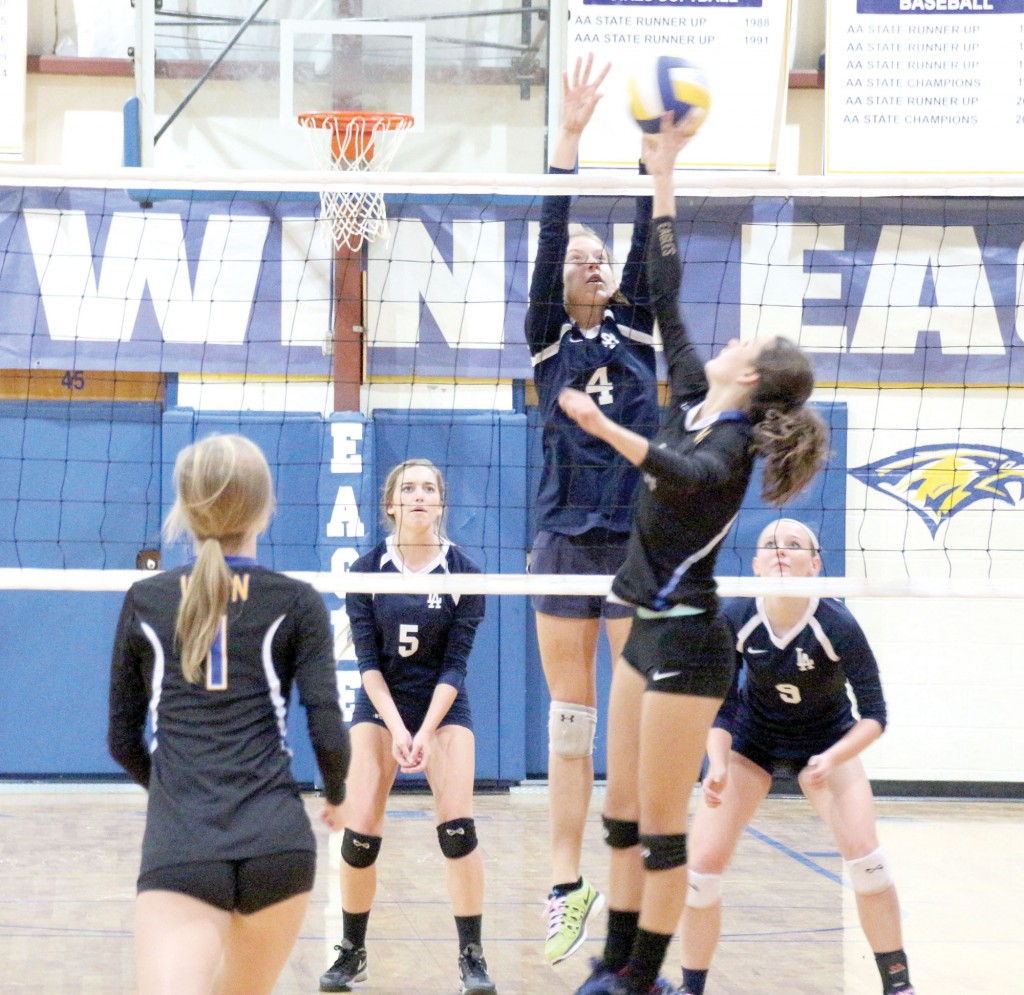 IMG_0512-001 copy_CROP