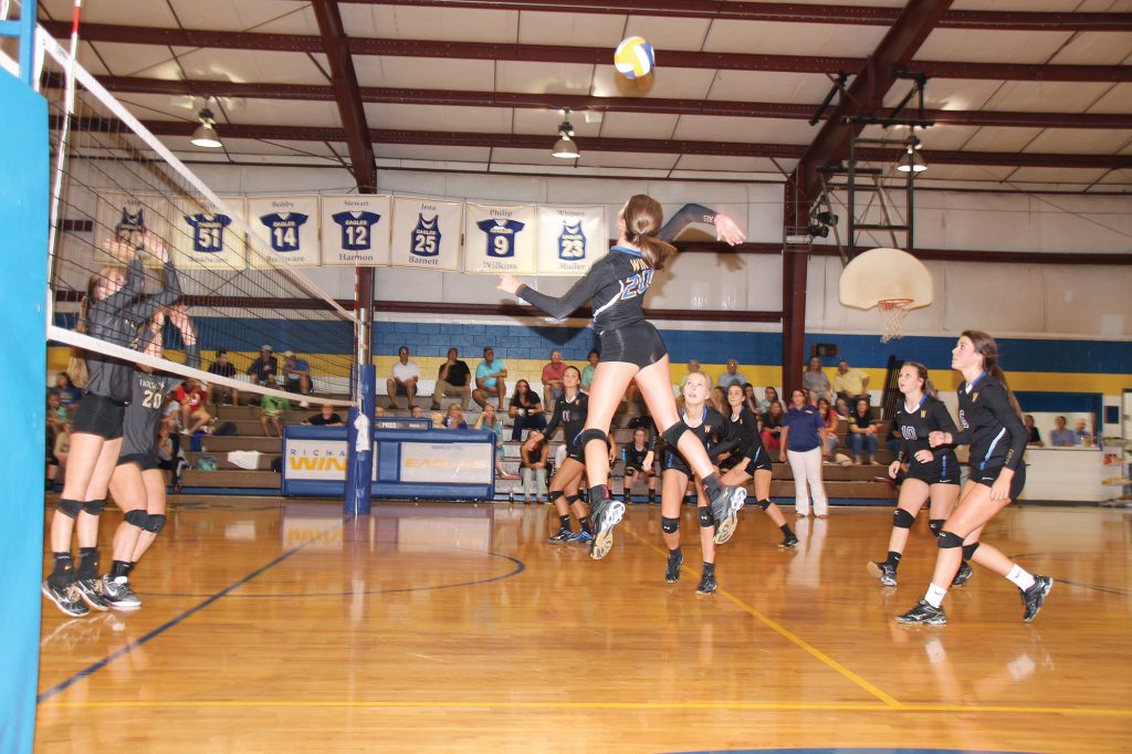 Lydia-Wilder_IMG_6031 copy