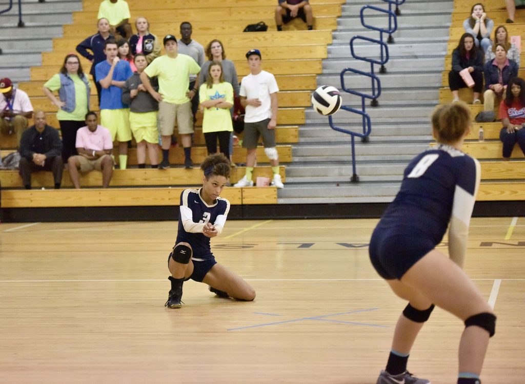 adele-bradley_20161101_230716110_ios-copy