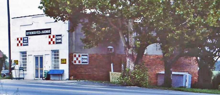 Preserving Blythewood’s History: Why Preservation is a Smart Investment for Blythewood